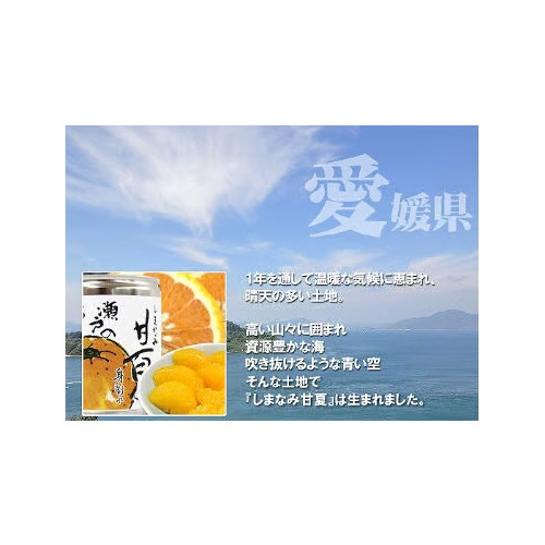 甘夏缶詰 詳細画像